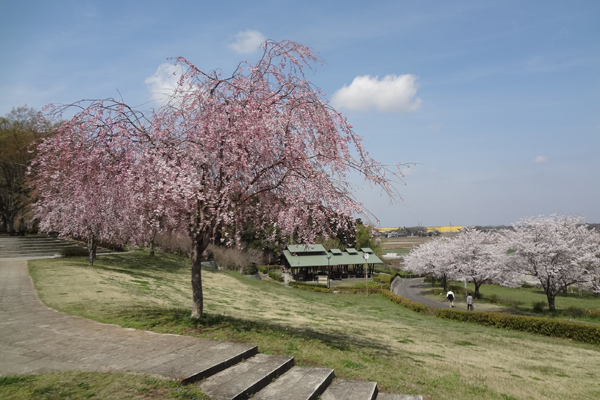 『宮山ふるさとふれあい公園』の画像