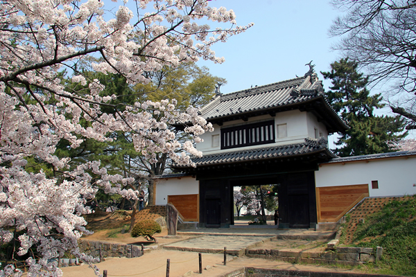 亀城公園の紹介