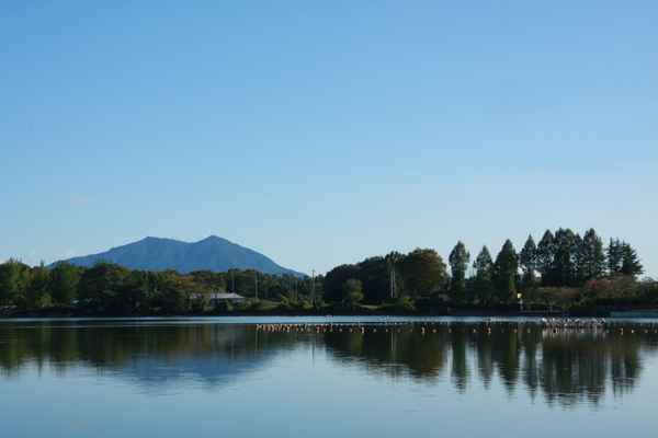 『上野沼1』の画像