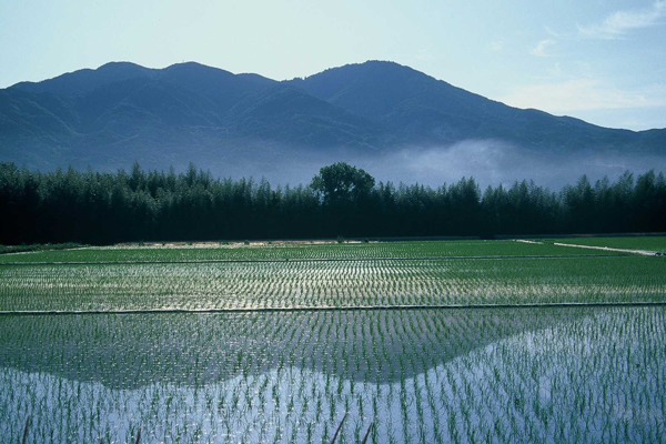 『山並みと田園風景2』の画像