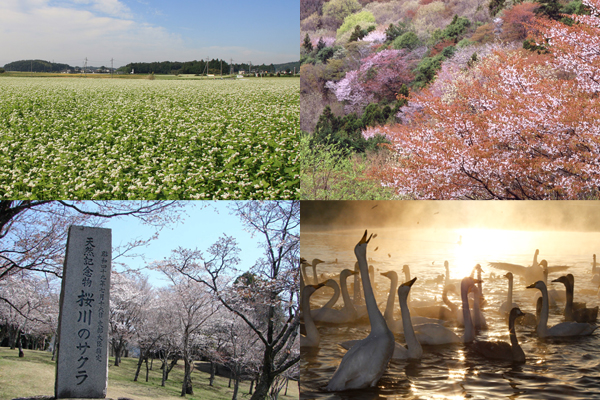 『岩瀬山並みコース』の画像