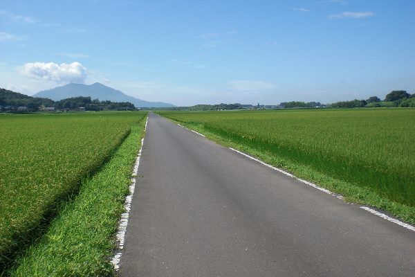 『田園(2)』の画像