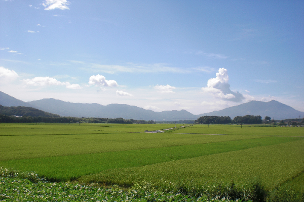 『田園(3)』の画像