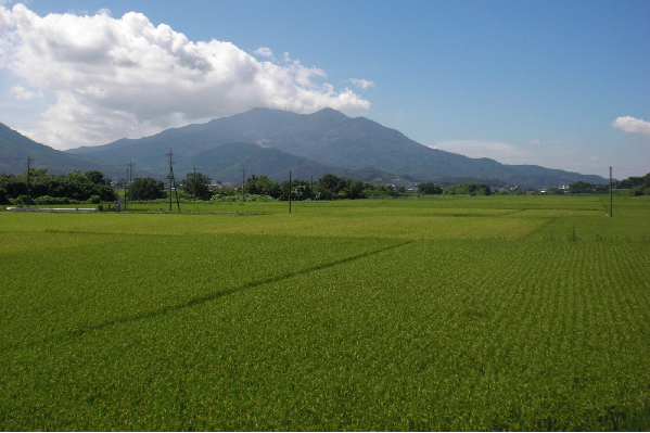 『田園(6)』の画像