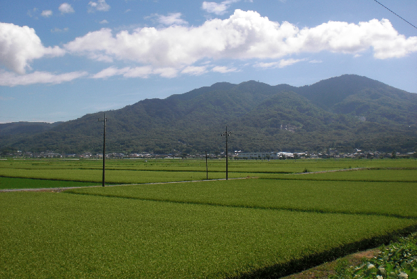 『田園(7)』の画像