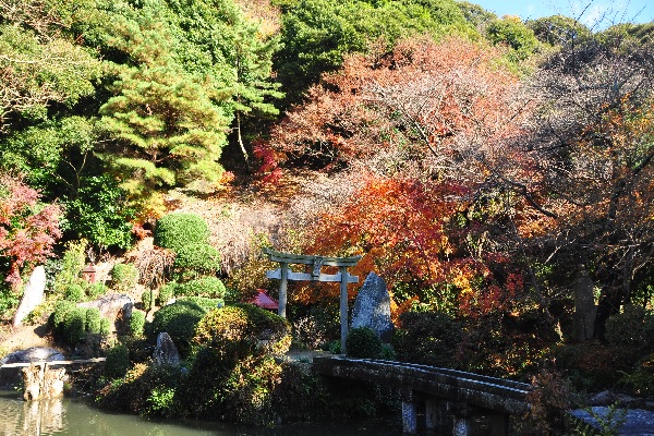 『椎尾山薬王院（秋）』の画像