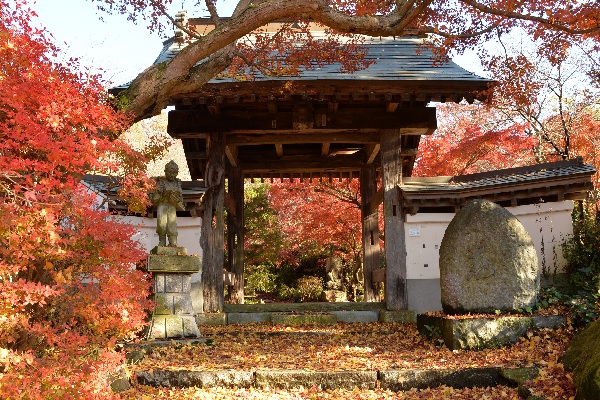 『薬王寺（秋）』の画像