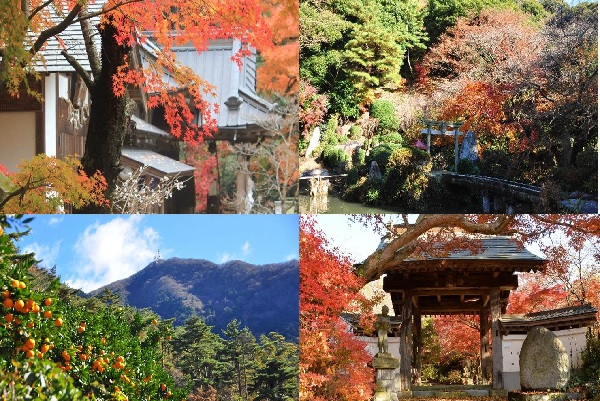 『秋の桜川さんぽ』の画像