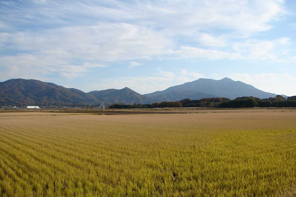 山並みと田園風景の紹介