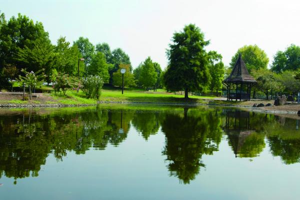きぬ川ふれあい公園の紹介