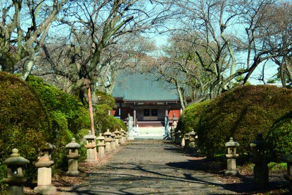 うめでら（東持寺）の紹介