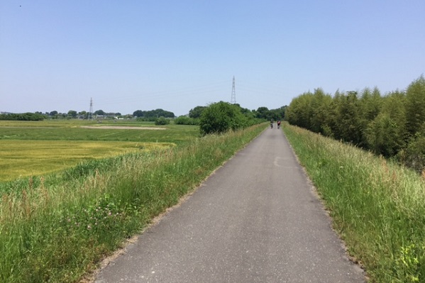 河川敷の様子の紹介