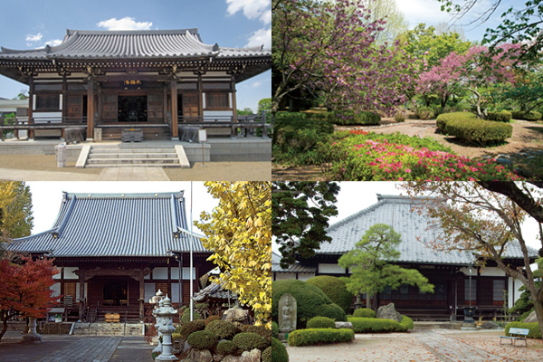 古寺めぐりの紹介