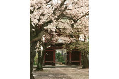 安穏寺の紹介
