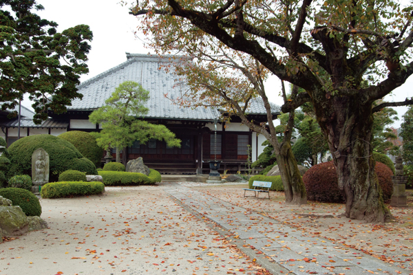 常光寺の紹介