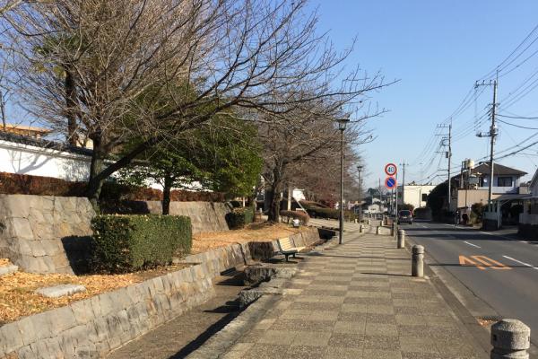 玉岡通りの紹介