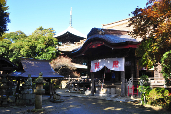 椎尾山薬王院の紹介