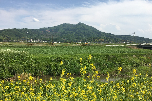 桜川の紹介