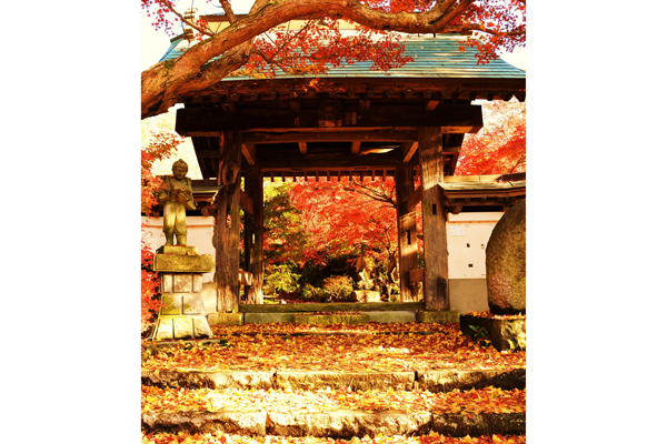 薬王寺の紹介