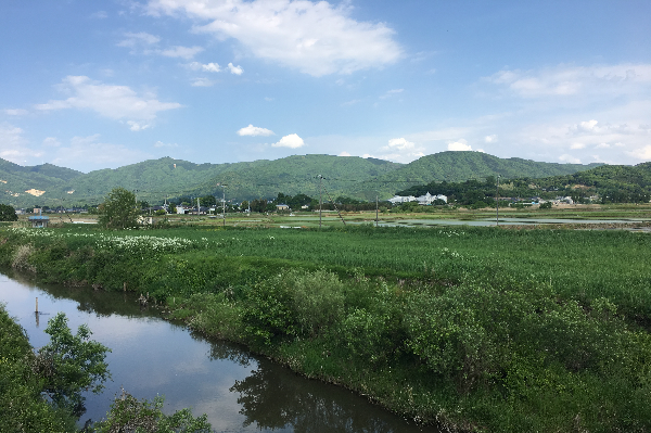 桜川の紹介