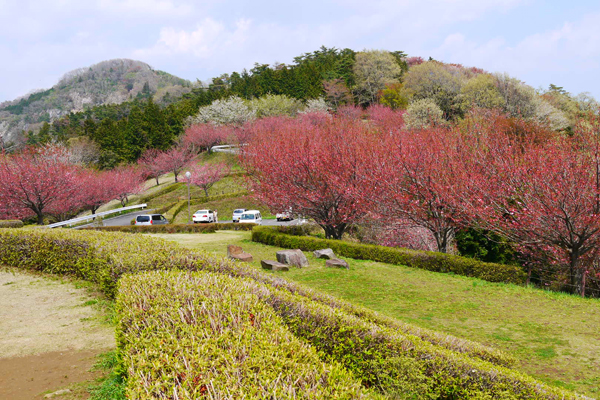 富谷山ふれあい公園の紹介