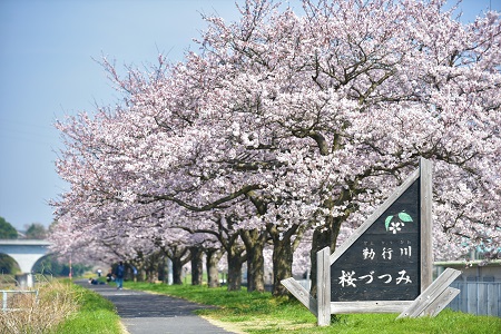 【桜・菜の花】【道の駅グランテラス筑西発】筑波山の眺め・SL・下館ラーメン・歴史もアートも盛りだくさんルートの紹介