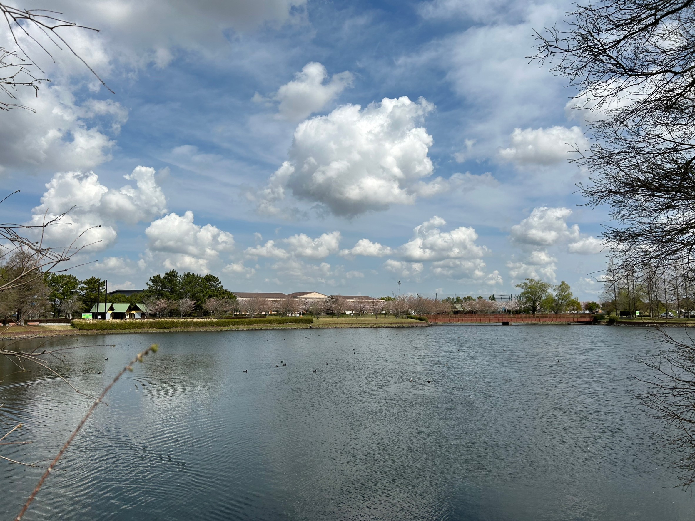 水と緑のふれあい公園の紹介