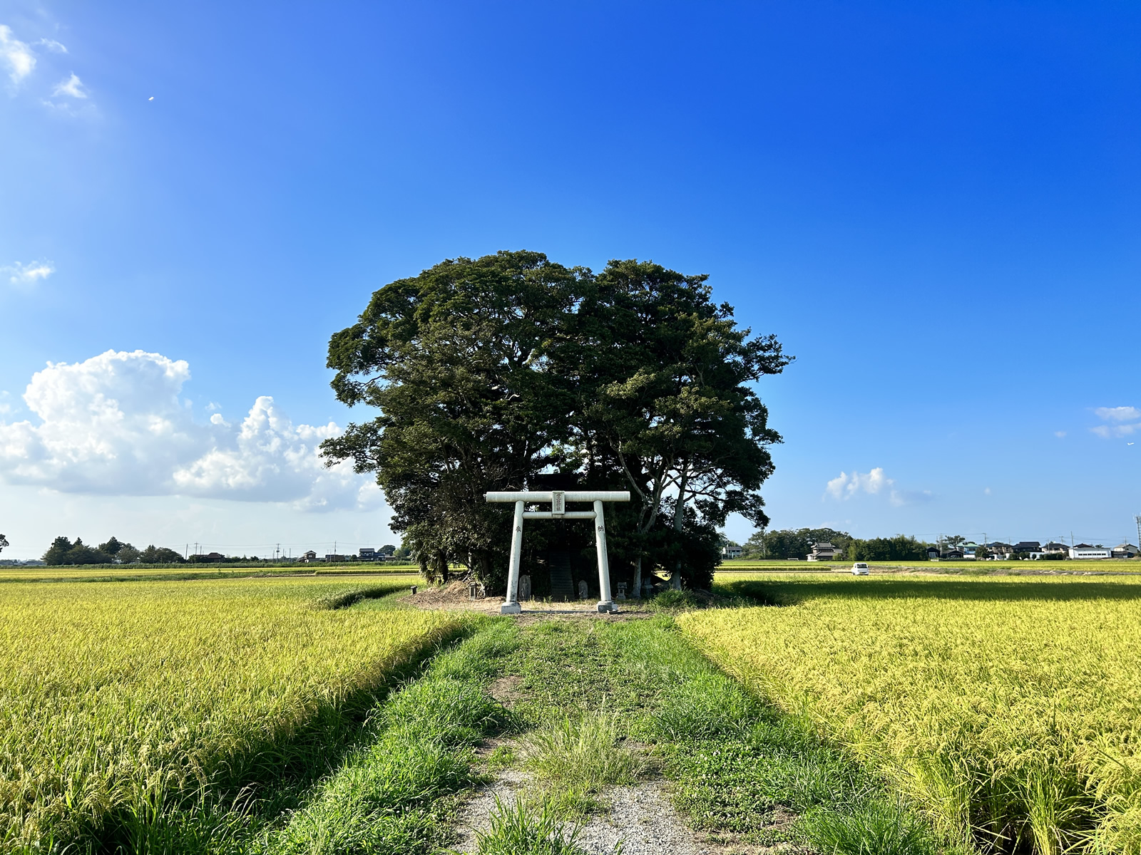 愛宕神社の紹介