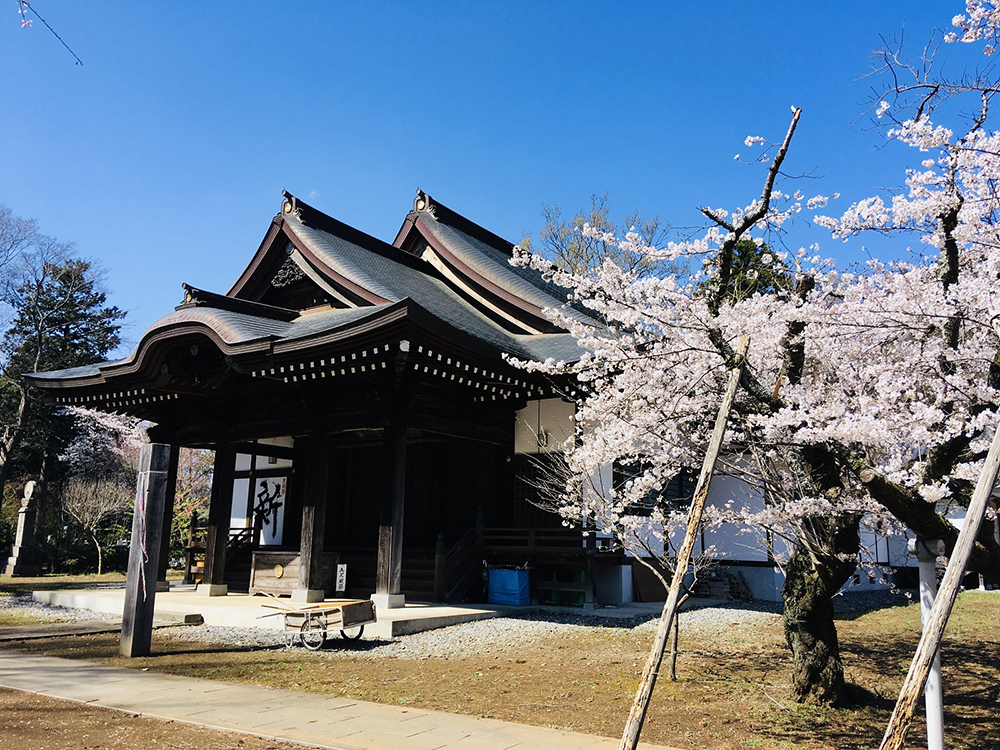 弘経寺の紹介