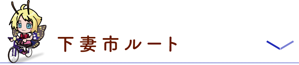 下妻市ルート